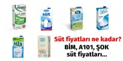 ŞOK, BİM, Migros Süt Fiyatlarına Yüzde Yüz Zam Geldi! İşte Yeni ŞOK, BİM, Migros Süt Güncel Fiyatları - Haber İnternette