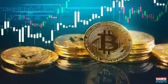 Bitcoin(BTC) Onca Olumsuzluğa Rağmen 42Bin Dolar'ın Üstüne Çıktı! Bitcoin(BTC) Artmaya Devam Edecek mi? - Haber İnternette