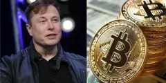 Elon Musk Üzerinden Bitcoinler Çalındı!