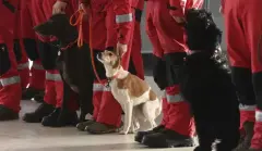 deprem yardımı gönderen.