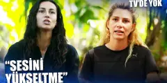 Survivor’ da Ünlüler ve Gönüllüler Bir Birine Girdi! Öyle Bir şey Dedi ki Linç Edildi! - Haber İnternette