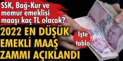 SSK, Bağ-Kur ve Memur Emeklilerine 2022 Yılı Maaş Zammı Kaç TL Oldu? Emekliye Yüzde Kaç Zam Yapılacak?