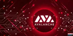 AVAX Coin Hakkındaki İddialar Ortalığı Fena Karıştırdı! AVAX Coin ETH ve BTC'yi Geride Bırakacağı İddia Ediliyor!