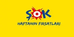 ŞOK Marketlerde Oto Paspas, Oto Cam Suyu, Oto Cam Sileceği, Araç İçi Süpürge, Oto Koltuk Arkası Organizer İndirimde! - Haber İnternette