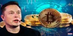 Elon Musk Yatırım Tavsiyesinde mi Bulundu? Bitcoin, Ethereum veya Dogecoin Hakkında Açıklama Yaptı! - Haber İnternette